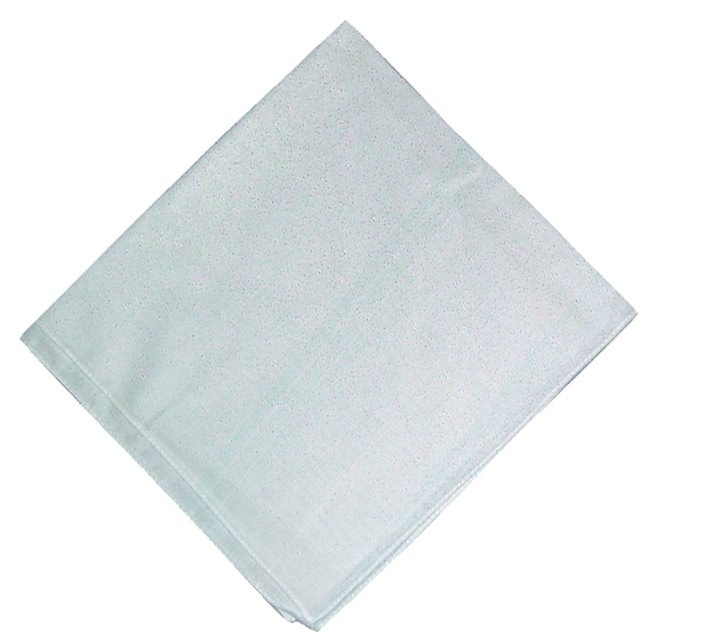 Picture of Men's Cotton Handkerchief