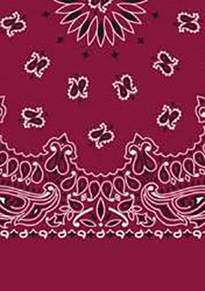 Picture of Paisley Bandanas