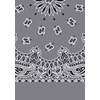 Picture of Paisley Bandanas