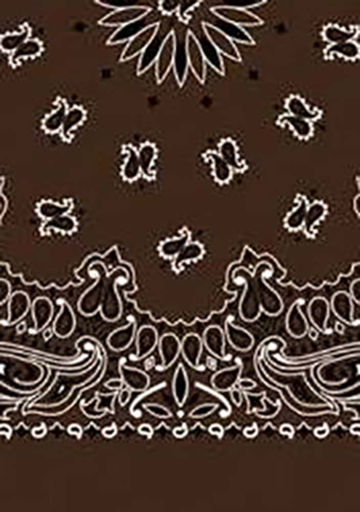 Picture of Paisley Bandanas