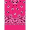 Picture of Paisley Bandanas