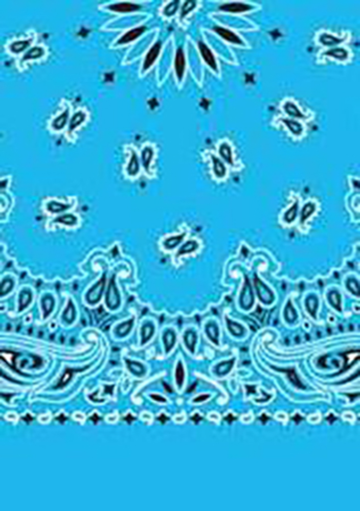 Picture of Paisley Bandanas