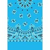 Picture of Paisley Bandanas