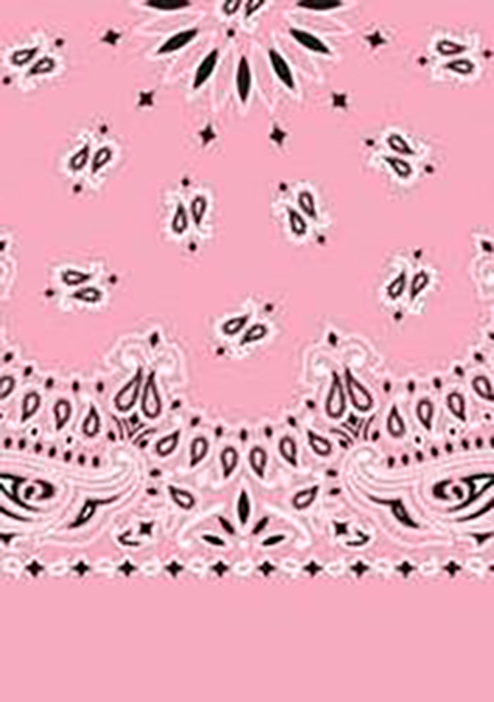 Picture of Paisley Bandanas