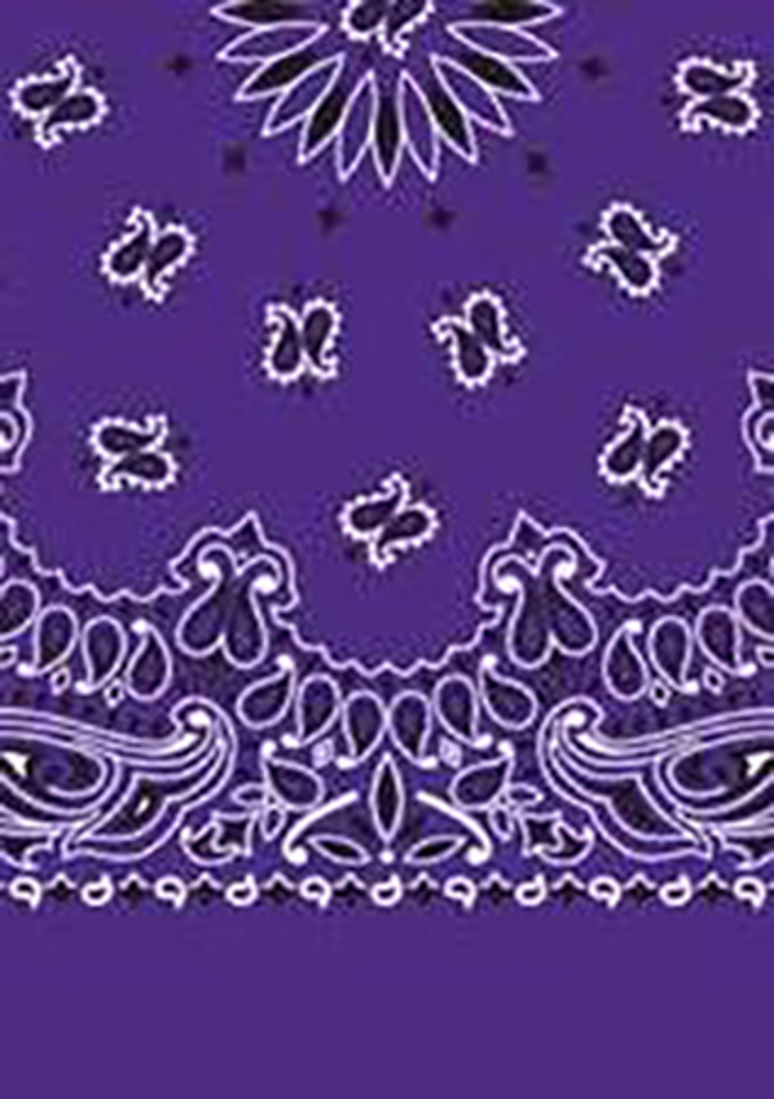 Picture of Paisley Bandanas