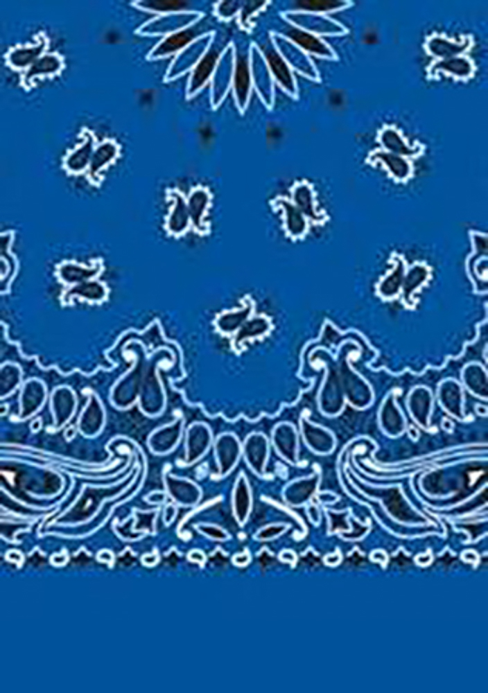 Picture of Paisley Bandanas