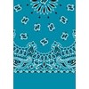 Picture of Paisley Bandanas