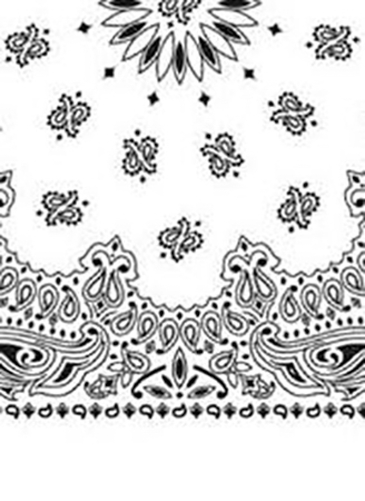 Picture of Paisley Bandanas