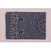 Picture of Paisley Bandanas