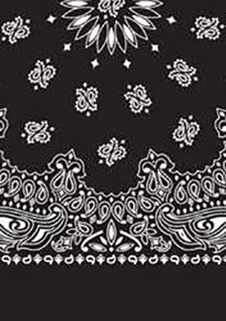 Picture of Paisley Bandanas