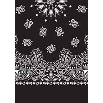 Picture of Paisley Bandanas