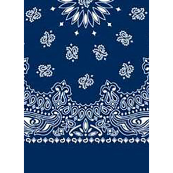 Picture of Paisley Bandanas