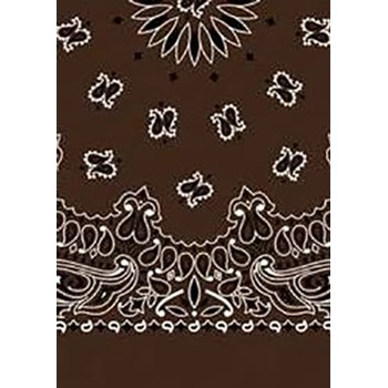 Picture of Paisley Bandanas