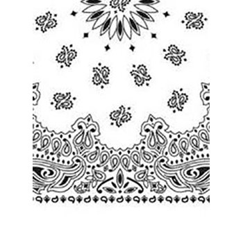 Picture of Paisley Bandanas