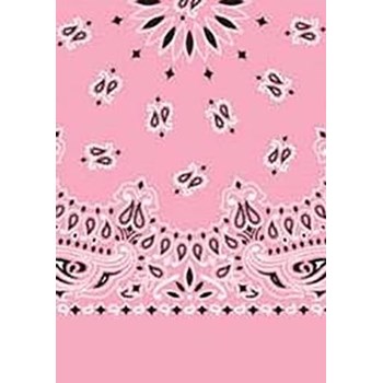 Picture of Paisley Bandanas