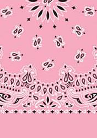 Picture of Paisley Bandanas