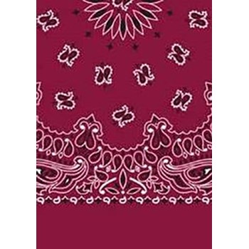 Picture of Paisley Bandanas