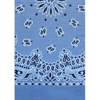 Picture of Paisley Bandanas