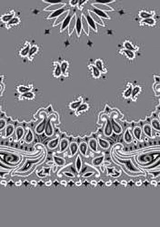 Picture of Paisley Bandanas