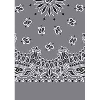 Picture of Paisley Bandanas