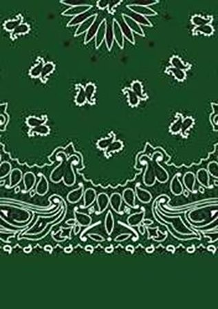 Picture of Paisley Bandanas
