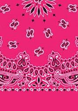 Picture of Paisley Bandanas