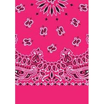 Picture of Paisley Bandanas