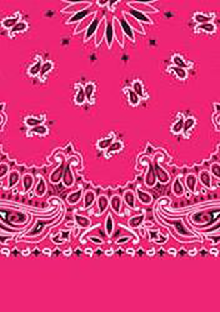 Picture of Paisley Bandanas