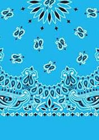 Picture of Paisley Bandanas