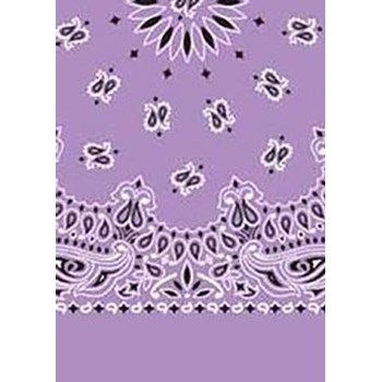 Picture of Paisley Bandanas