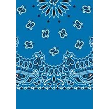 Picture of Paisley Bandanas