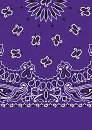 Picture of Paisley Bandanas