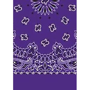 Picture of Paisley Bandanas