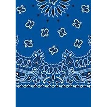 Picture of Paisley Bandanas