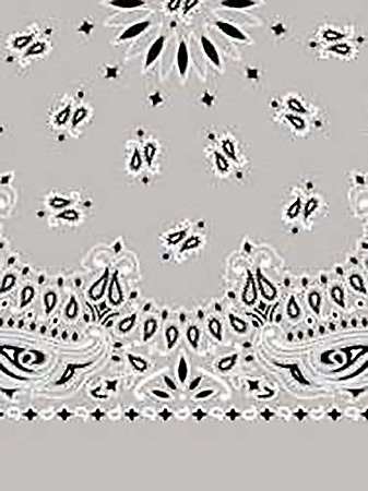 Picture of Paisley Bandanas