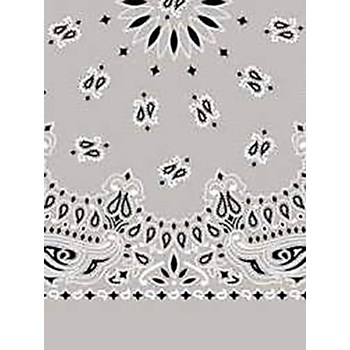 Picture of Paisley Bandanas