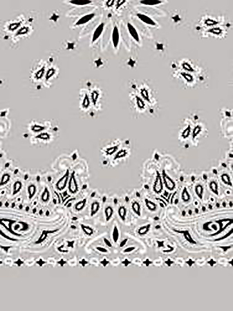 Picture of Paisley Bandanas