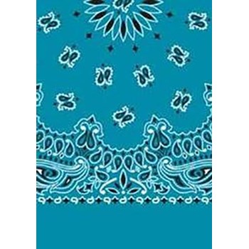 Picture of Paisley Bandanas