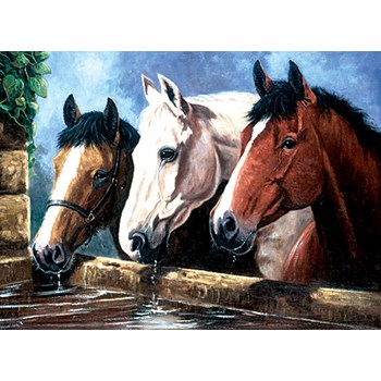 Picture of Junior Large Painting by Number