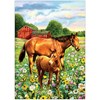 Picture of Junior Small Painting by Number