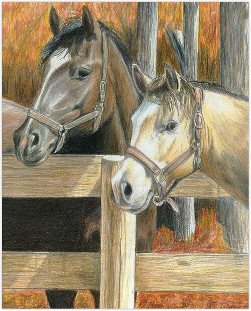 Picture of Color Pencil by Number