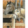 Picture of Color Pencil by Number