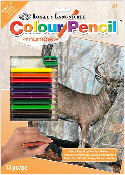 Picture of Color Pencil by Number