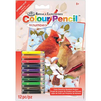 Picture of Mini Color Pencil by Number