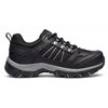 Picture of Simply Black Ladies' Shoe