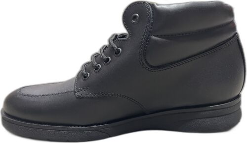 Picture of Men's Shoe