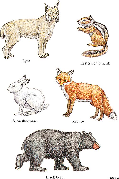 Picture of Sticker Books
