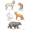 Picture of Sticker Books