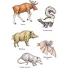 Picture of Sticker Books
