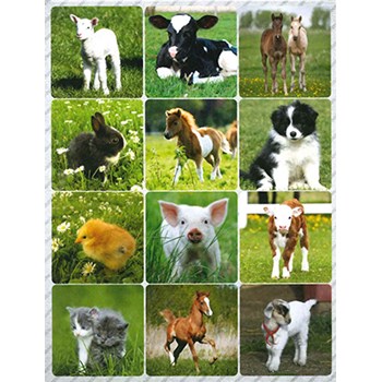 Picture of Country Creations Stickers